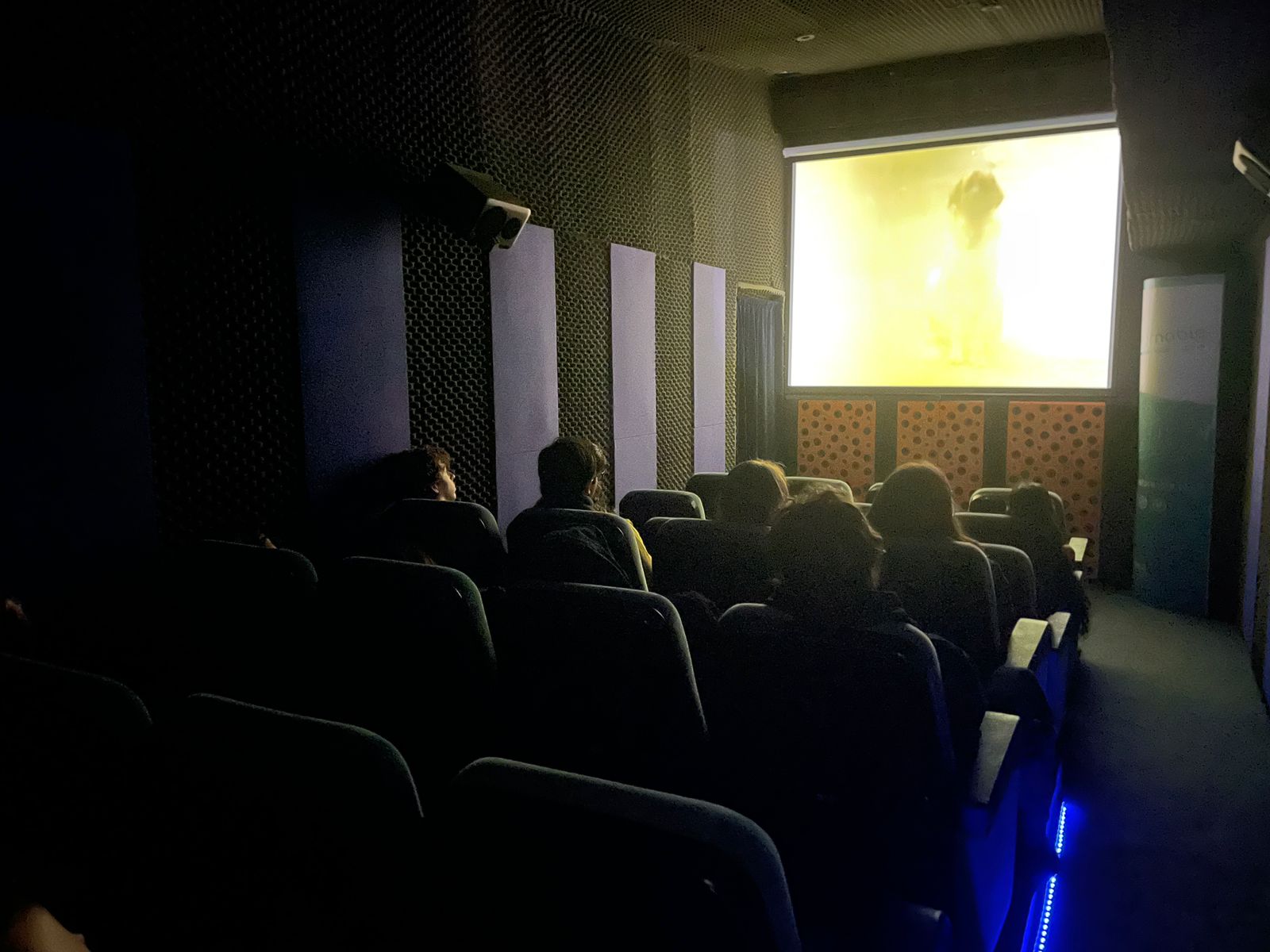 Estudiantes en el cine