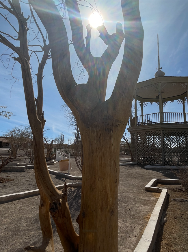 Árbol tallado en plaza